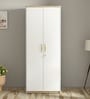 Ampara 2 Door Wardrobe With Locker In High Gloss White Finish
