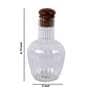 Amroha Neer 1 Ltr Glass Decanter with Tumbler