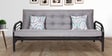 Ankara Metallic Convertible Sofa Cum Bed with Mattress & Cushions