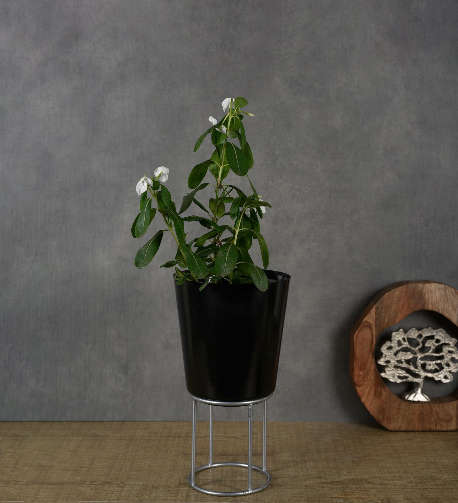 Antique Black Iron Desk Pot with Metal Stand