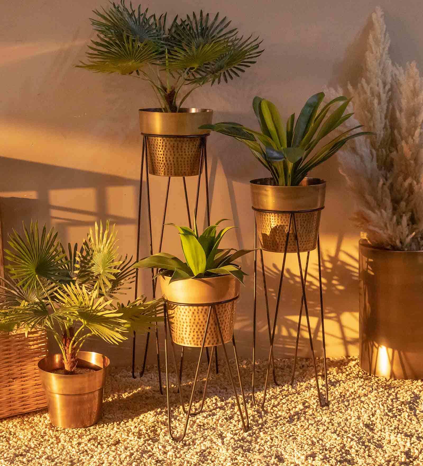 Antique Brass Iron Sahara Large Planter