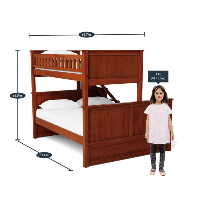 Buy Antonia Bunk Bed (Single & Queen) with Drawer Storage in Walnut