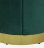 Anadia Velvet Pouffe In Green Colour