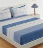 Blue 100% Cotton 200TC Double Bedsheet with 2 Pillow Covers