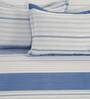 Blue 100% Cotton 200TC Double Bedsheet with 2 Pillow Covers