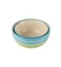 Ananda Green & Blue Ceramic (Set of 2) Serving Bowl