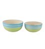 Ananda Green & Blue Ceramic (Set of 2) Serving Bowl