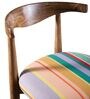 Andaman Dining Chair In MultiColour