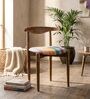 Andaman Dining Chair In MultiColour