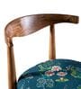 Andaman Dining Chair In Teal Colour