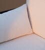 Andaman Havelock Fabric Arm Chair In Dual Finish