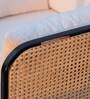 Andaman Havelock Fabric Arm Chair In Dual Finish
