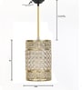 Andre Gold Crystal Hanging Light