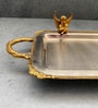 Angel 500ml  Silver Stainless steel Serving Tray
