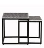 Angola Metal Nest Of Tables (Set Of 2) In Black Colour