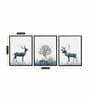 Animal Multicolour Canvas Framed People and Places Art Print Set of 3