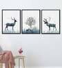 Animal Multicolour Canvas Framed People and Places Art Print Set of 3