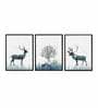 Animal Multicolour Canvas Framed People and Places Art Print Set of 3