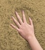 Anit Gold Solid Wool Blend 3 X 5 Feet Tufted Carpet