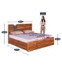 Ankara Sheesham Wood King Size Bed in Walnut Finish with Hydraulic Storage
