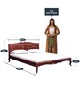 Anne Sheesham Wood Queen Size Bed In Honey Oak  Finish