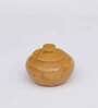 Annpurana Yellow Gold Stone 2 Pcs Condiment Jar with Tray