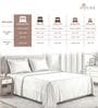 Anthrazit Grey Stripe 300 TC Cotton Super King Sized Bedsheet with 2 Pillow Covers