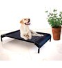 Large Anti -Moisture Portable Elevated Dog Bed in Black Colour