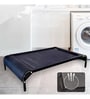 Large Anti -Moisture Portable Elevated Dog Bed in Black Colour