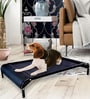 Large Anti -Moisture Portable Elevated Dog Bed in Black Colour