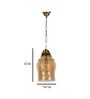 Natwest Antique Brass Brass Hanging Light