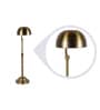 Francis Brown Study Lamp With Brass Base