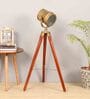 Antique Brass Metal Shade  Floor Lamp With Walnut Base
