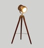 Antique Brass Metal Shade  Floor Lamp With Walnut Base