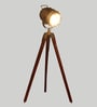 Antique Brass Metal Shade Tripod Floor Lamp With Mango wood Base