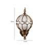 Algae Metal Novelty Wall Light (Brass)