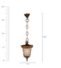 Antique Copper Acrylic Outdoor Hanging Light