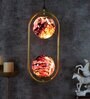 Plaza Antique Gold Iron Hanging Light