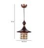 Adam Antique Gold Metal Hanging Light