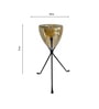 Antique Iron & Glass T- Light Holder (Black)