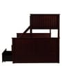 Antonia Bunk Bed (Single & Queen) with Drawer Storage in Wenge Finish