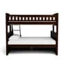 Antonia Bunk Bed (Single & Queen) with Drawer Storage in Wenge Finish