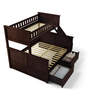 Antonia Bunk Bed (Single & Queen) with Drawer Storage in Wenge Finish