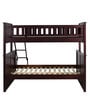 Antonia Bunk Bed (Single & Queen) in Wenge Finish
