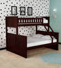 Antonia Bunk Bed (Single & Queen) in Wenge Finish