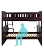 Antonia Bunk Bed (Single & Queen) in Wenge Finish