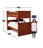 Antonia Bunk Bed (Single & Queen) with Drawer Storage in Walnut Finish