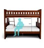 Antonia Bunk Bed (Single & Queen) with Drawer Storage in Walnut Finish