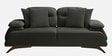 Apex Fabric 2 Seater Sofa with Adjustable Backrest in Grey Colour Apex Fabric 2 Seater Sofa with Adjustable Backrest in Grey Colour