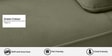 Apex Fabric 2 Seater Sofa with Adjustable Backrest in Sage Green Colour Apex Fabric 2 Seater Sofa with Adjustable Backrest in Sage Green Colour